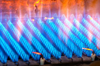 Caeathro gas fired boilers